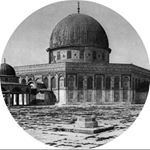 Profile Picture of Ahmed Qaddoura (@ahmadqaddoura99) on Instagram