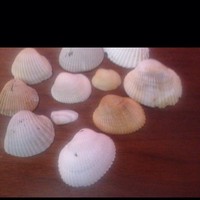 Lizzy James - Quora Profile Picture of Lizzy James (@lizzy-james-19) on Quora