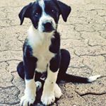 Profile Picture of Colin B Vallance (@colin.vallance) on Instagram