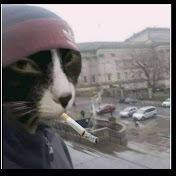 Profile Picture of Trevor Edwards (@phillipsheridan8658) on Youtube