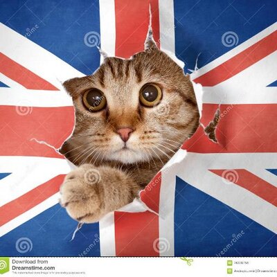 Profile Picture of Amanda Calhoun (@Amanda50757710) on Twitter