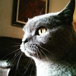 Profile Picture of Samuel Abbey (@samuel.m.abbey) on Instagram