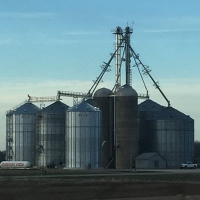 Profile Picture of Adam Robson (@AdamRobson435) on Twitter