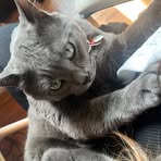 Profile Picture of Kirsten DowLathe (@Kirsten-Dow-Lathe) on Facebook