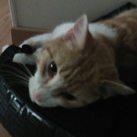 Profile Picture of Sam Tiny Eye (@constanceidez) on Pinterest