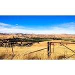 Profile Picture of Peter (@peterpeacock57) on Instagram