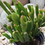 maralamberto - Instagram Profile Picture of maralamberto (@maralamberto) on Instagram