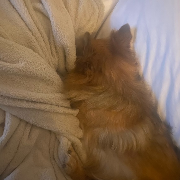 Profile Picture of Julia Biggie (@julia_biggie) on Poshmark