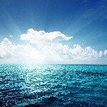 marc serafin - Instagram Profile Picture of marc serafin (@marcserafini) on Instagram