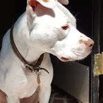 Profile Picture of Emily (@ruby_patty) on Instagram