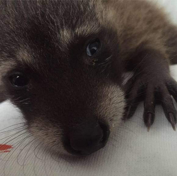 Profile Picture of Matt Grooters (@gmattgroo) on Poshmark