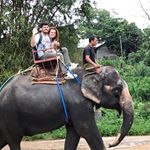 Profile Picture of Alice Barzocchi (@alicebarzocchi) on Instagram