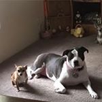 Profile Picture of Paula Strohl (@paulastrohl) on Instagram