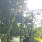 Profile Picture of Lloyd Alfonzo (@Lloyd-Alfonzo) on Facebook