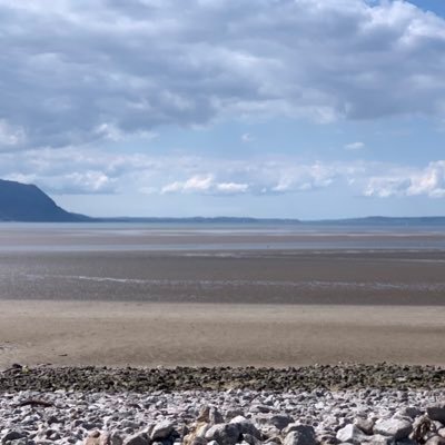 Profile Picture of Janet E Finch-Saunders (@JFinchSaunders) on Twitter