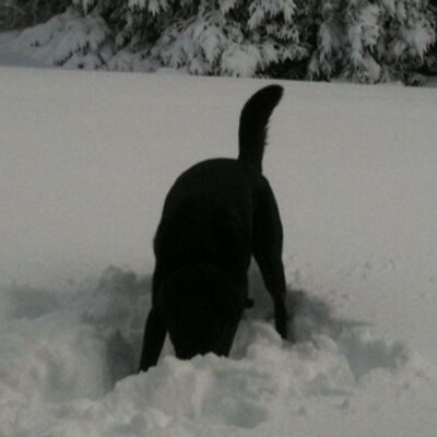 Profile Picture of Jake Bernhard (@KissmyMutt03) on Twitter