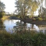 Profile Picture of Philippe Vavasseur (@vavasseurphilippe) on Instagram