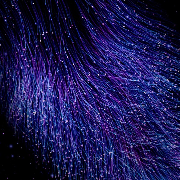 Profile Picture of Michelle Pedigo (@michellepedi944) on Poshmark