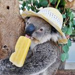 Profile Picture of Kyle (@kyle_robert_pepin123) on Instagram