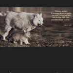 Profile Picture of Nowone Can Go There All Time (@hayden_hull) on Instagram