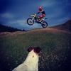 Profile Picture of Steve Hart (@@stevehart35) on Tiktok