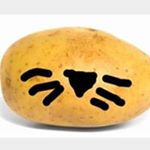 Profile Picture of Dalton Matthews (@dalton_matthews) on Instagram