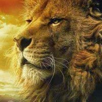 Profile Picture of Paul Lions (@paul-lions) on Quora