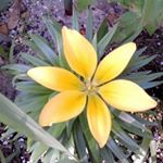 Profile Picture of Jodi Lesko (@jodi.lesko) on Instagram