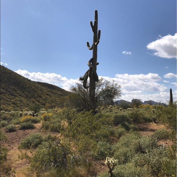 Profile Picture of Alexia Stamas (@alexiaamari) on Poshmark