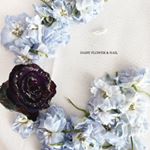 Daisy Flower & Nail - Instagram Profile Picture of Daisy Flower & Nail (@daisy.flower.nail) on Instagram