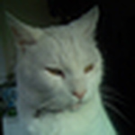 Profile Picture of Larry Joyner (@l. h. joyner) on Flickr