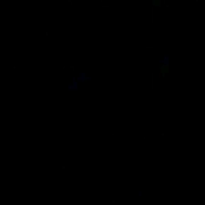 Profile Picture of Thomas Rollinger (@thomasrollinger5084) on Tiktok