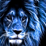 Zafer Altinbas - Flickr Profile Picture of Zafer Altinbas (@altinbas.zafer) on Flickr