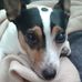 Profile Picture of Andrea Marshall (@andrea.marshall.923519) on Facebook