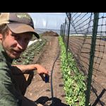 Matthew Joseph Navarre - Instagram Profile Picture of Matthew Joseph Navarre (@matt_nav92) on Instagram