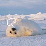 Profile Picture of Wenjun Xu (@wenjun878) on Instagram