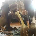 Profile Picture of Jeff Holbrook (@jeffbobmoses) on Instagram