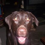 Profile Picture of William Botts (@wandabotts) on Instagram