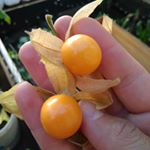 Profile Picture of Moises Salazar (@moises_urban_g) on Instagram