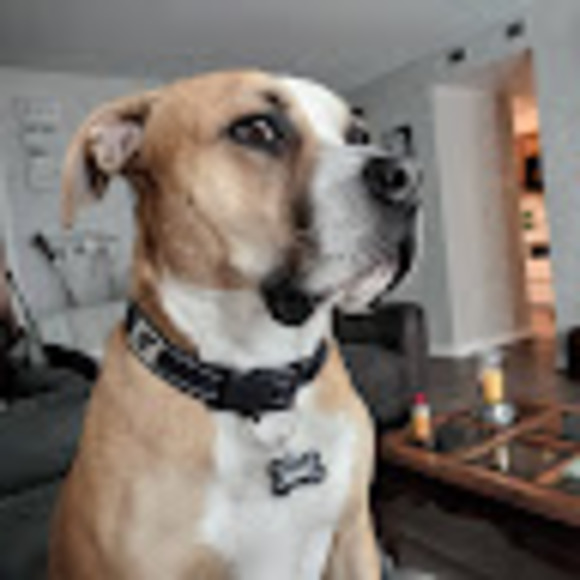 Profile Picture of Carl Snider (@carlsnider) on Poshmark