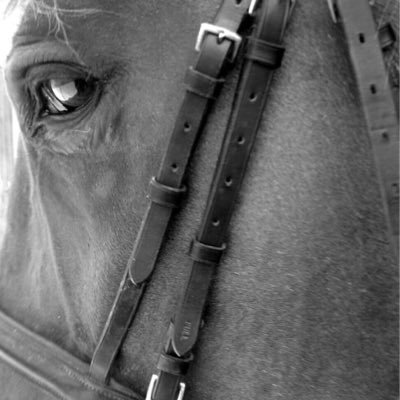 Rory Byrne - Twitter Profile Picture of Rory Byrne (@rorybyrne12) on Twitter