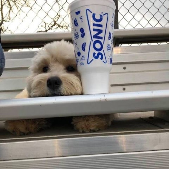 Profile Picture of Brian Blackburn (@briansuzie) on Poshmark