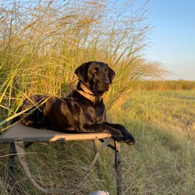 Profile Picture of Doug Moeckel (@duckmo73) on Twitter