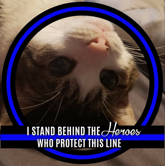 Profile Picture of Kristin Malson (@hawkscrow50) on Poshmark