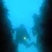 Profile Picture of Randy Swenson (@randys480) on Pinterest