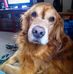 Profile Picture of Larry Dumont (@larry.dumont.33) on Facebook