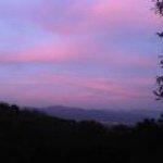 Stephanie Moskowitz Kodish - Instagram Profile Picture of Stephanie Moskowitz Kodish (@stephaniemoskowitzkodish) on Instagram