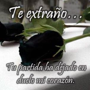 Profile Picture of Norma Iribe (@norma.iribe.12) on Facebook