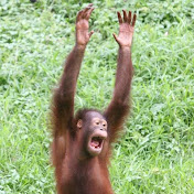 Profile Picture of Kevin Peralta (@kevinperalta4783) on Youtube