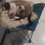 Profile Picture of Eugenia Casas Duque (@eugenia.casas.duque) on Facebook